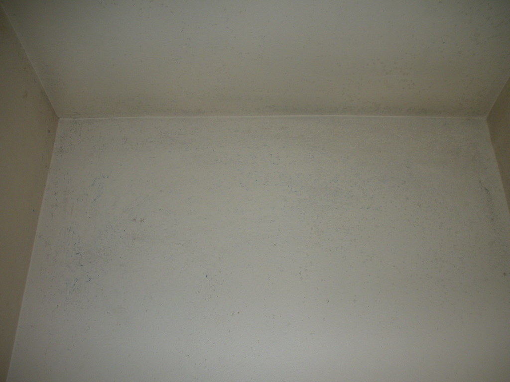 Black Mold In Bathroom Cupboards Jessbridges Flickr