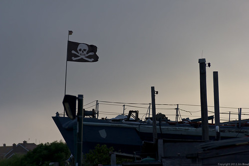 The jolly roger