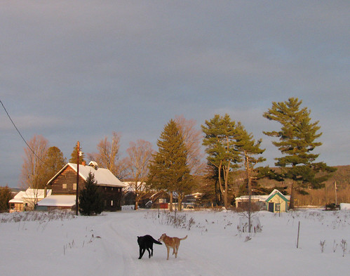 winter sunset snow barn sophie shed driveway lester mothernature 4seasons thedump schuylerlakeny wskg