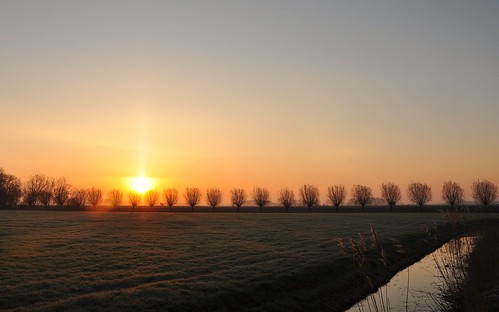 trees sky sun holland colors sunrise landscape mood glow groningen willows henk usquert nikond90 powerfocusfotografie