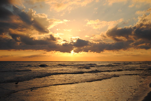november sunset orange beach gulfofmexico water beautiful yellow clouds evening coast al sand nikon surf waves gulf tide alabama gulfshores 2010 gulfcoast baldwincounty d3000 november2010 nikond3000
