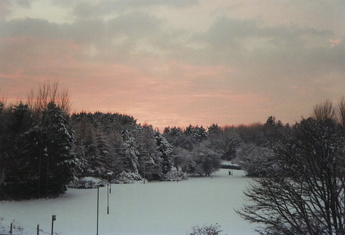 trees winter snow sunrise