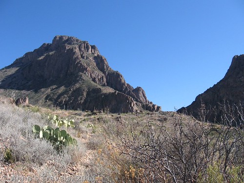 Chisos Mountains along the Oak Springs Trail in Big Bend, Texas
