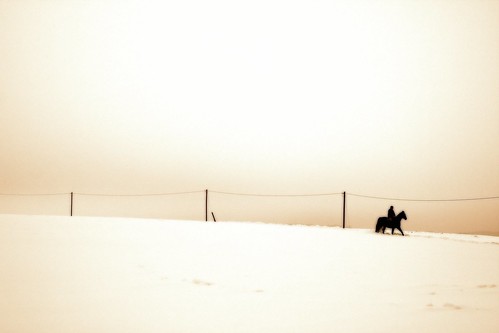 orange snow blur monochrome canon landscape eos nieve powerlines lonely rider 雪 caballero zăpadă canoneos1000d райтер canoneosdigitalrebelxs 瑞特 torstenreuschling