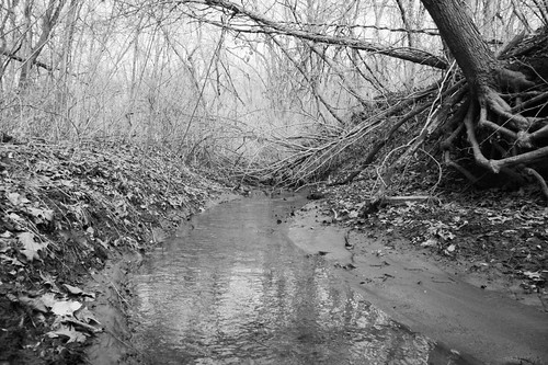 park bw nature water monochrome creek outdoors blackwhite geocaching mud tracks stjoseph missouri geocache krugpark gc42a3