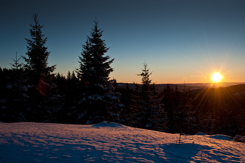 winter cold nature norway forest sunrise nikon colours d700