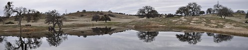 trees winter panorama brown cold reflection pool rural landscape reflecting still stitch wide calm hills