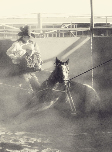 horses cowboys texas cowboylife