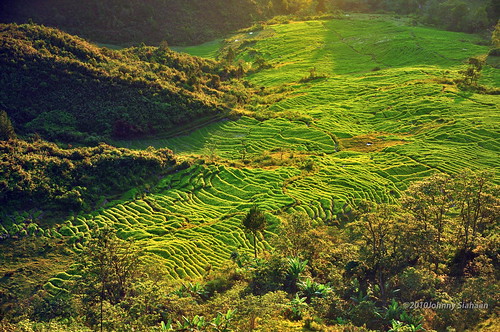 sunset mountains misty clouds sunrise indonesia gunung batak toba laketoba sumatera huta danautoba sumaterautara tobalake matahariterbit tapanuliutara hutaginjang taput johnnysiahaan mataharipagi fotodanautoba fotohutaginjang