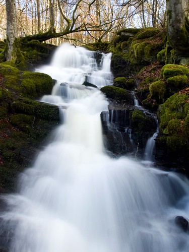uk fall water scotland waterfall perthshire olympus aberfeldy e510 birksofaberfeldy
