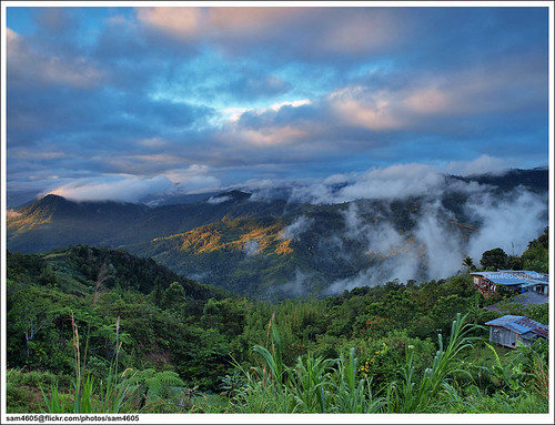 morning cloud mountain forest landscape ed scenery olympus malaysia borneo mountainview e3 sabah sejuk hutan pagi pemandangan kundasang ranau zd kabus sabahborneo 1260mm kinasaraban