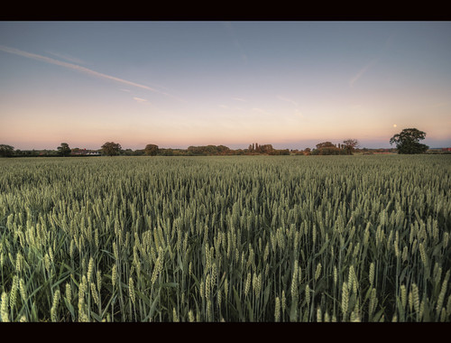 uk sunset summer england field june corn britain dusk wheat crops agriculture staffordshire hdr lichfield sigma1020mm curborough 2011 photomatix nikond80 lichfielddistrict june2010 summer2010