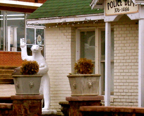 bear statue tennessee police snowball polar middleton hardemancounty polarbearfrozencustard