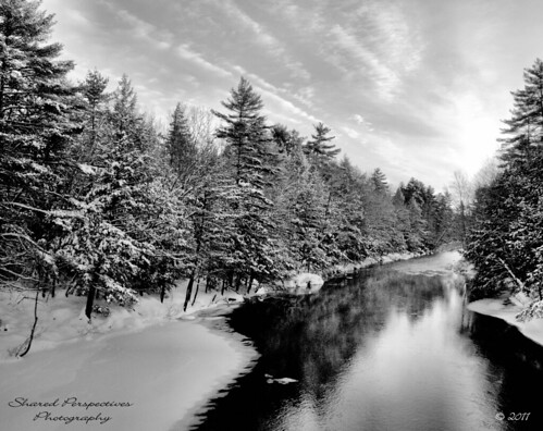 trees bw snow cold ice water river maine limerickmaine