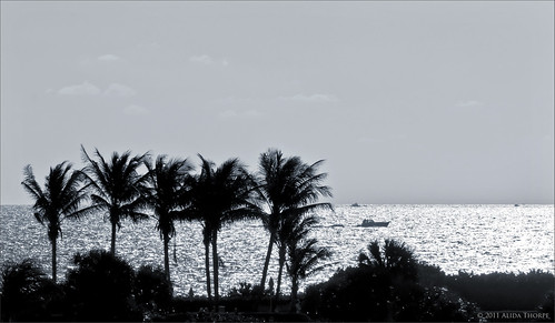 ocean blackandwhite bw beach silhouette fishing florida horizon palmtrees boating tropical jupiter hazy palmbeachcounty junobeach