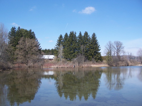 pond education environmental center shallow rogers andyarthur