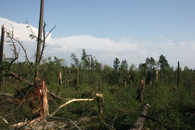 Just after the tornado April 2011 at Staunton River State Park