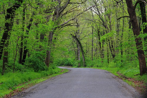 road trees green canon illinois midwest country highland april backroad 2011 rebelxs eos1000d