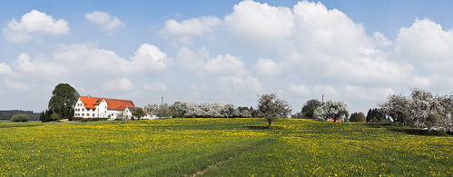 panorama clouds geotagged countryside spring wolken dandelion blüte landschaft frühling moosburg fruittrees federsee obstbäume oberschwaben panoramicshot löwenzahnwiese upperswabia lakefedersee geo:lat=480835510709965 geo:lon=9596851814819274