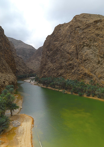 tree water vertical river landscape outside outdoors vanishingpoint eau exterior outdoor riviere rocky tranquility nobody nopeople palm palmtree arabia paysage oman arbre wadi palmier dehors tranquilscene greenwater omán 阿曼 sultanate arabie عُمان colorpicture pointdefuite traveldestination sultanat vueexterieure rocheux arabianpeninsula wadishab tranquilite photocouleur eauverte rocailleux omã オマーン omão umman omaan colourpicture оман 오만 ομάν โอมาน omāna omanas umān penisulearabique scenedetranquilite 4459059