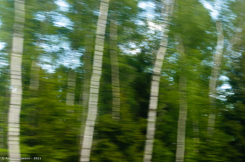 trees speed train sweden småland