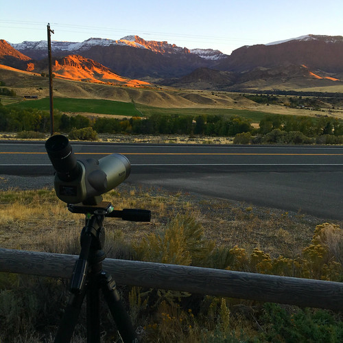 iphone elk herd spotting scope celestron dawn