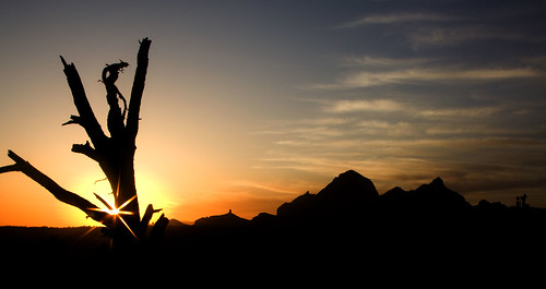 sunset arizona usa tree america landscape sedona starburst benjaminhall benjaminhallphotocom