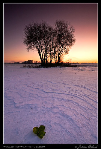 winter sunset snow ice hiver neige normandie glace couchersoleil xtremweather76