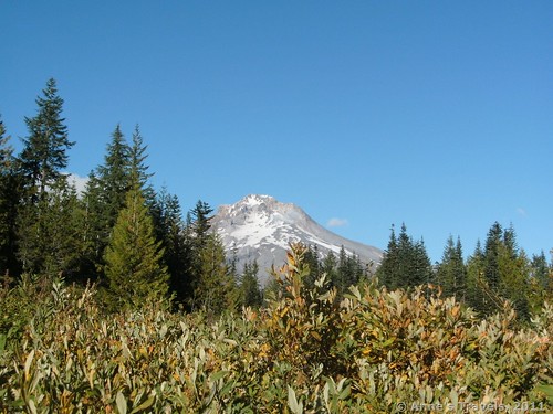 Mt. Hood from the Mirror Lake Trail, Mount Hood National Forest, Oregon