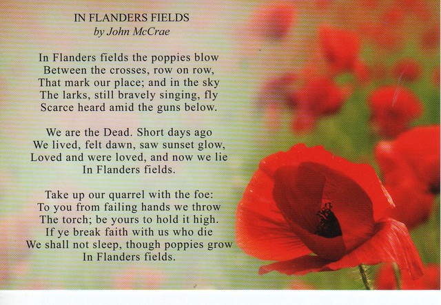 Writing a poem about remembrance day photos
