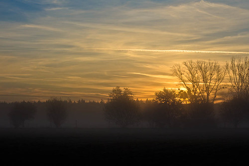 fog sunrise canon landscape nebel landschaft sonnenaufgang 50mm18 60d