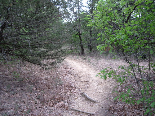 trees nature forest texas hiking laketexoma texasstateline cedarmills cookecounty crosstimberstrail gordonville juniperpointpark juniperpointpublicusearea