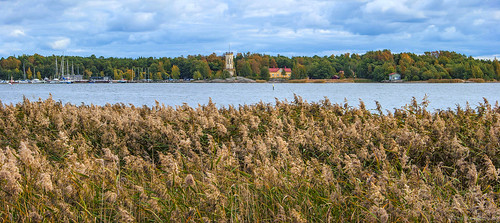 autumn nature sea shore outdoor landscape trees leaves colours reeds clouds buildings tower boats balticsea rauma suomi finland tamronspaf2875mmf28xrdildasphericalif