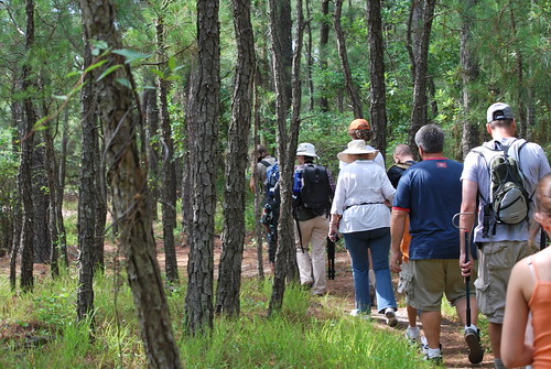 From coastal parks to mountainside parks, guided hikes are a great group activity.  This hike to Wash Woods at False Cape State Parks is a great winter activity.