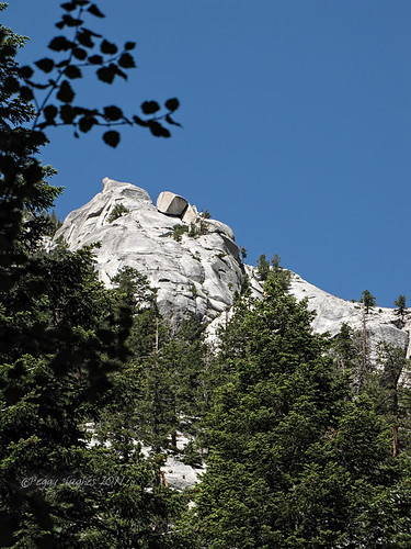 california trees mountains nature mtwhitney peggy sierranevada whitneyportal ©allrightsreserved ©peggyhughes