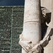 Fotografiando la Sagrada Familia - 5