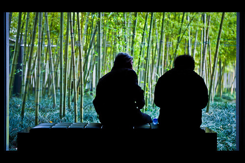 china shadow portrait people green museum landscape nikon suzhou peace interior bamboo moment suzhoumuseum d3s afsnikkor2470mmf28ged nikond3s
