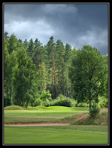 trees green grass sport golf countryside olympus baltic latvia course golfcourse e510 viesturi
