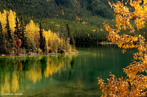 autumn lake canada nature water leaves reflections colours yukon palette digitalcameraclub bestcapturesaoi folisge