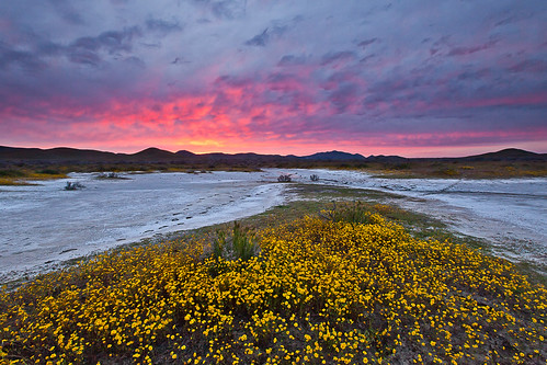 california sunset copyright usa lake monument nature weather canon landscape photo day cloudy southern national april wildflowers soda plain ultrawide nationalmonument sodalake carrizoplain carrizo 2011 5dmk2