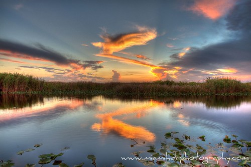 travel blue sunset summer sky orange white fish color reflection green fall nature water grass skyline clouds reflections river landscape outdoors spring colorful natural florida miami dusk hiking wildlife alligator hike tourists adventure explore everglades land destination environment hdr floridaeverglades riverofgrass