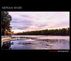 IMGP9733 - Nepean River
