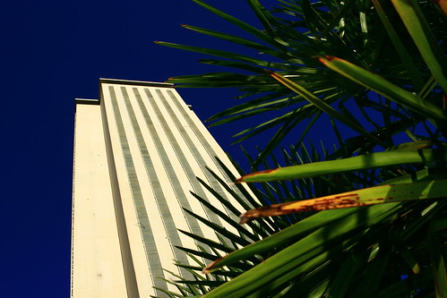 blue up composition canon colorful looking state bluesky 1d tallahassee capitals statecapitals 2470mm skyes at 2470mmlens tallahasseebuildings