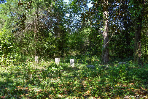 littleriver alabama unitedstates shippcemetery baldwincounty larrybell larebell larebel cemetery southernphotosoutlookcom