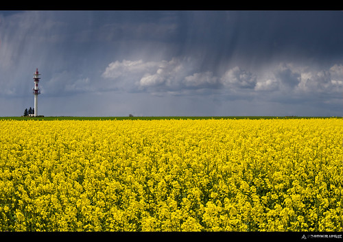 france jaune de champs pluie ile nuage antenne orage colza essonne averse