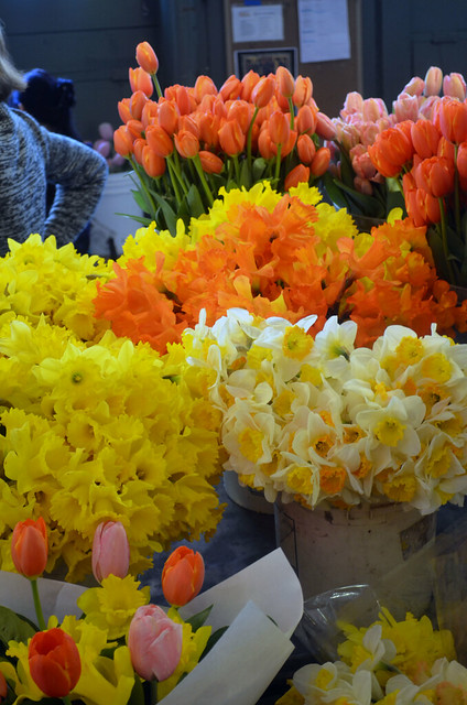 Several bundles of different types of flowers.