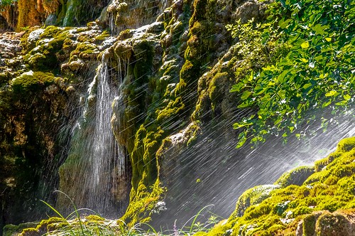 water waterfall moss eau cascade mousse