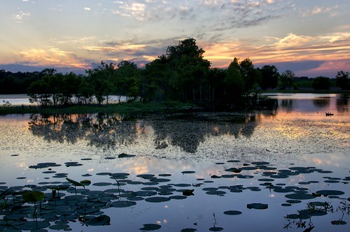 sunset lake reflection silhouette clouds texas dusk swamp lillypads waterreflection brazosbend texasparksandwildlife brazobendstatepark texastatepark