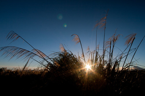 park winter newzealand sky sun field grass sunrise landscape mount national nz sunburst tongariro tussock ruapehu nationalparkvillage