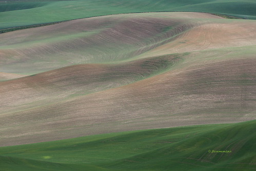 washingtonstate wheatfields whitmancounty thepalouse kamiakbuttecountypark